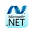 Microsoft .NET Framewo