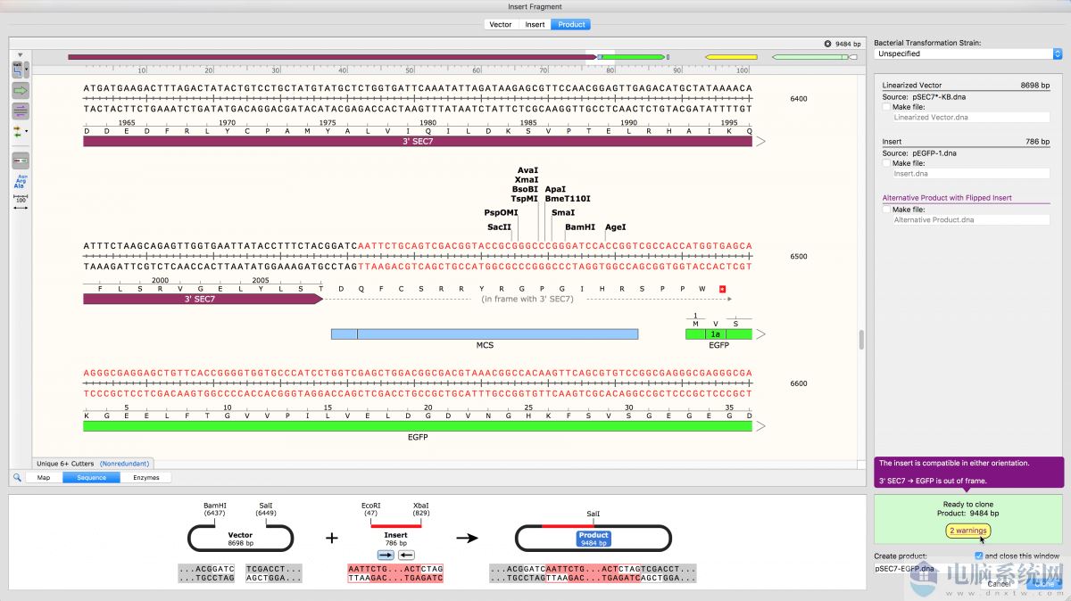 SnapGene