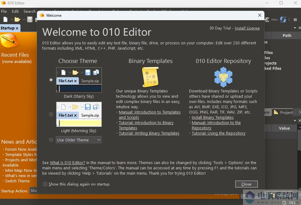 十六进制编辑器010Editor