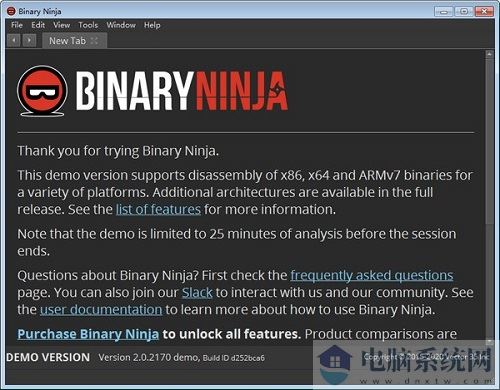 Binary Ninja