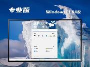 ghost Win11专业版64位 | Win11  专业版系统下载 v2025.1